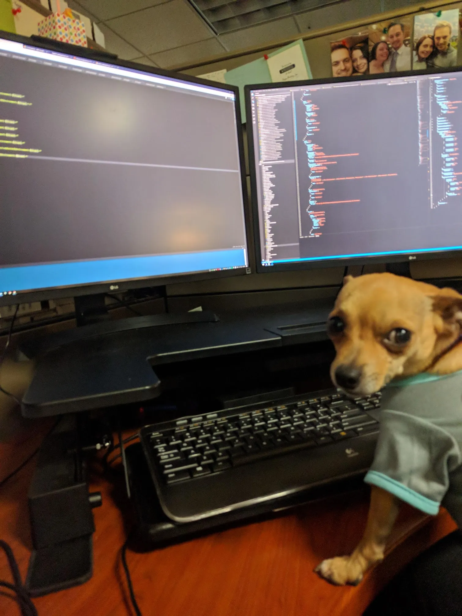 Bruiser - Wired by Design's lead developer reviewing code