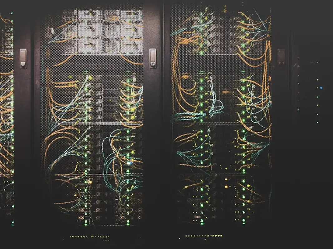 IT and digital services